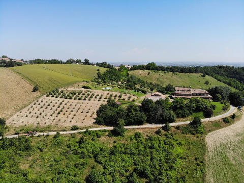 Agricoltura bioecologica